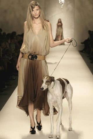 donna Trussardi primavera 2008